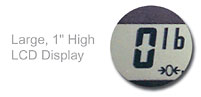 1" LCD Display