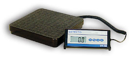 visiting nurse scale