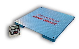 Cardinal Floor Scale System w/ 204