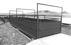 Livestock Scale Cardinal LSE
